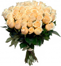 Розы голландия кремовые