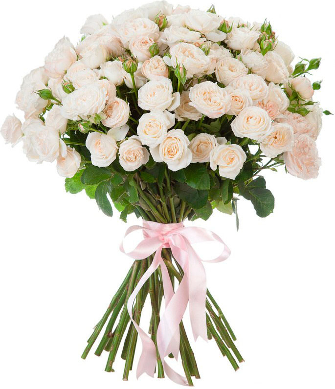 Кустовые белые розы Кустовые белые розы